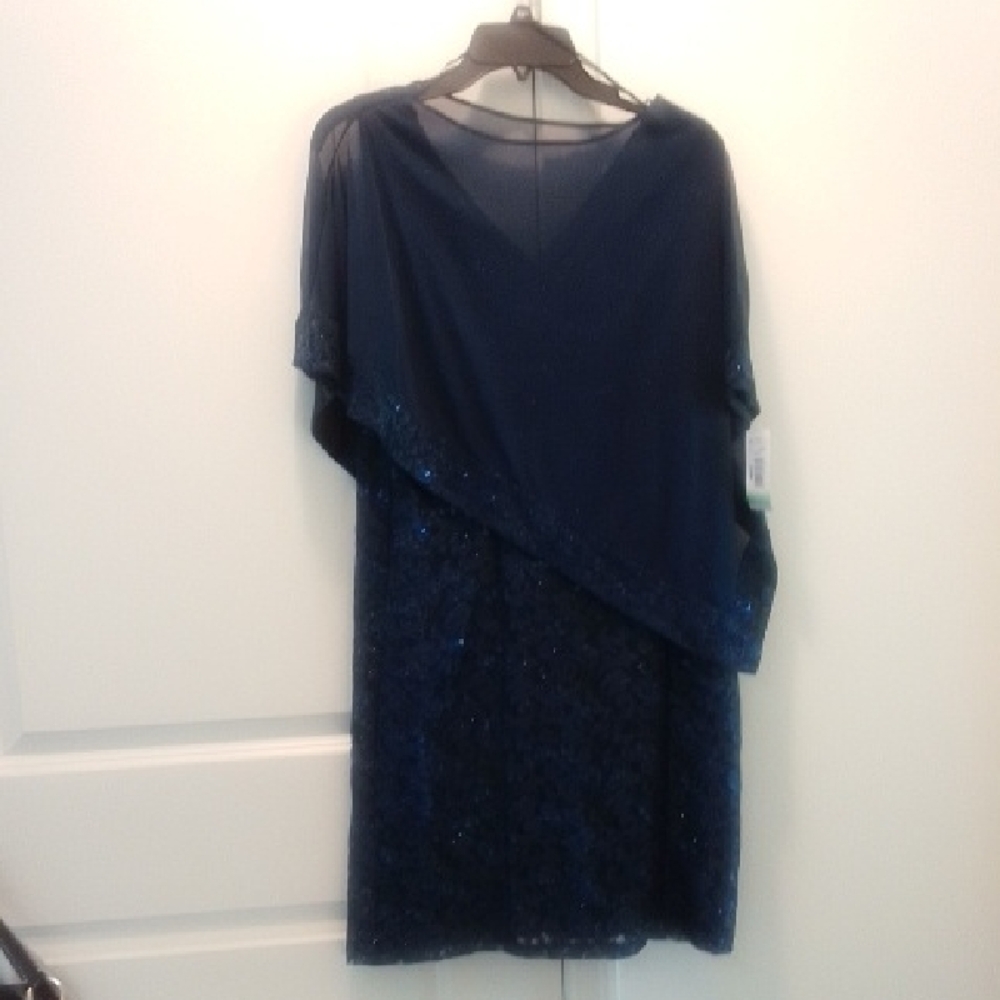 NWT R & M Richards Women's Petite Lace Sequin Dress
